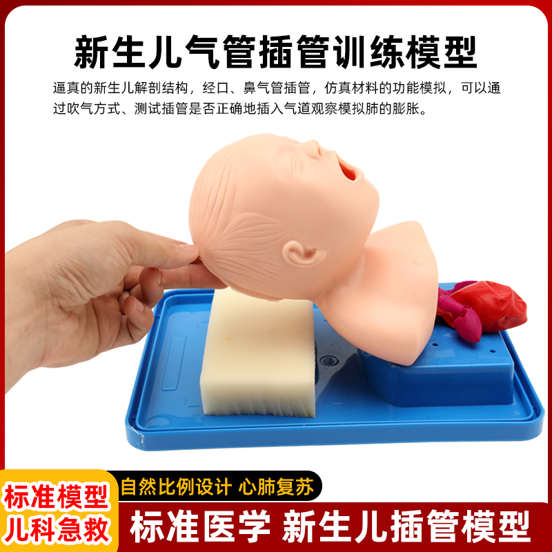 新生儿气管插管训练模型厂家直销
