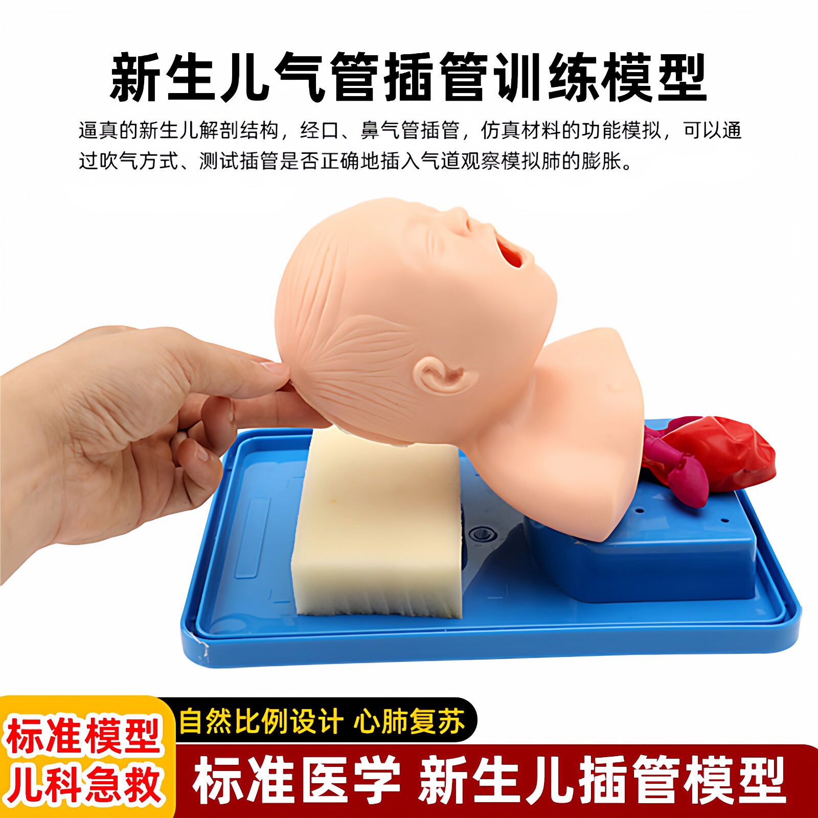 新生儿气管插管训练模型厂家直销
