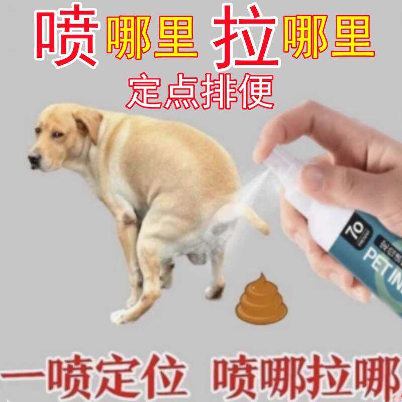 德国专研狗狗定点排便神