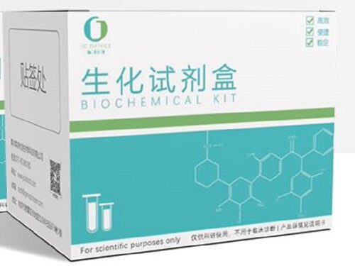 JC过氧化物酶活性检测试剂盒