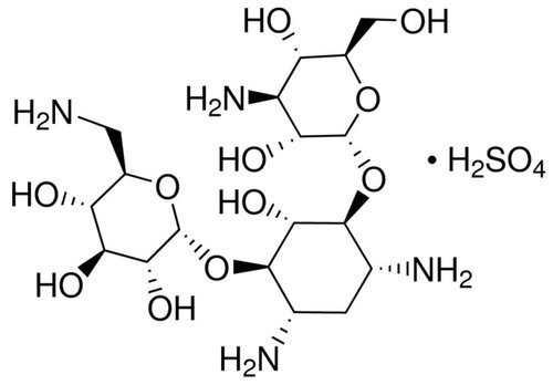 卡那霉素硫酸酯,E004000-5G