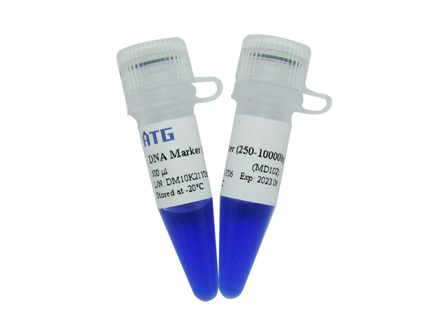 ATG:DM102: 10kb DNA Marker （9条条带）/(250~10000bp)