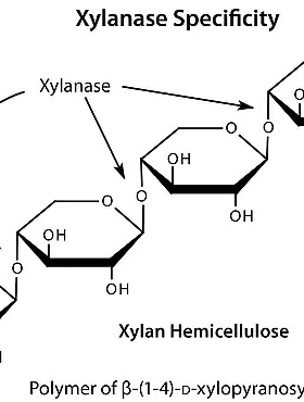 Driselase™ 崩溃酶, 来自担子菌属, D8037/D9515-1 G/5G, Sigma