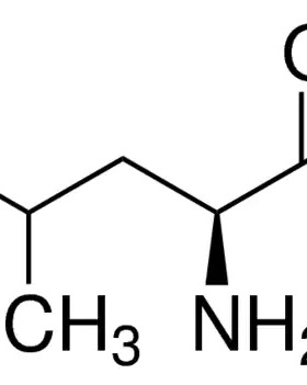 L-亮氨酸, L8000/L8912/61819/PHR1105,  Sigma原装科研
