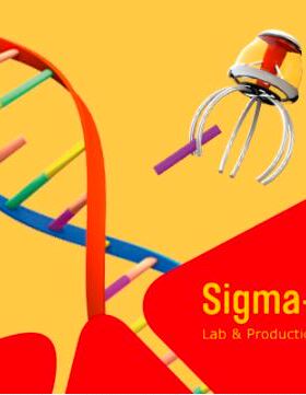 L -抗坏血酸(维生素C), A0278/A92902/A4403/A5960/A4544, Sigma