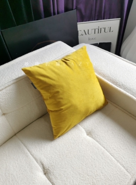 晚睡的猫亮黄色丝绒抱枕沙发靠枕斯德哥尔摩法式美式丝绒
