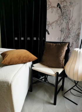 晚睡的猫中古风咖啡色适合深色装修抱枕沙发靠枕法式美式丝绒