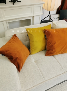 晚睡的猫橙色亮黄色丝绒抱枕靠枕珠光粉法式美式中古风