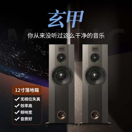 宝丽森12寸落地箱胆机馒头中音