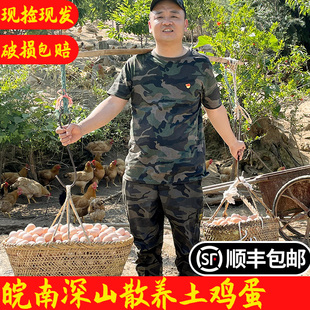 新鲜皖南正宗九华山生态农家散养土鸡老母鸡童子鸡孕产妇营养