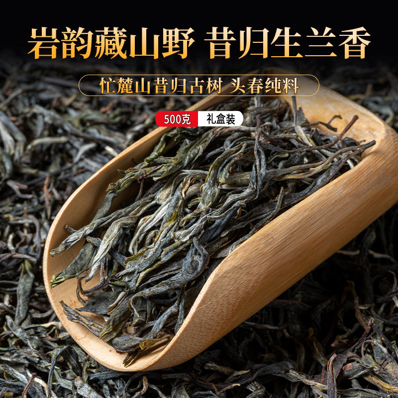 普洱生茶散茶2026年昔归古树生茶头春纯料500克礼盒装生茶