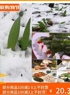 寒葱 山葱 茖葱 茗荑菜 山蒜叶 韩国工艺配料 酸甜口味 开罐即食