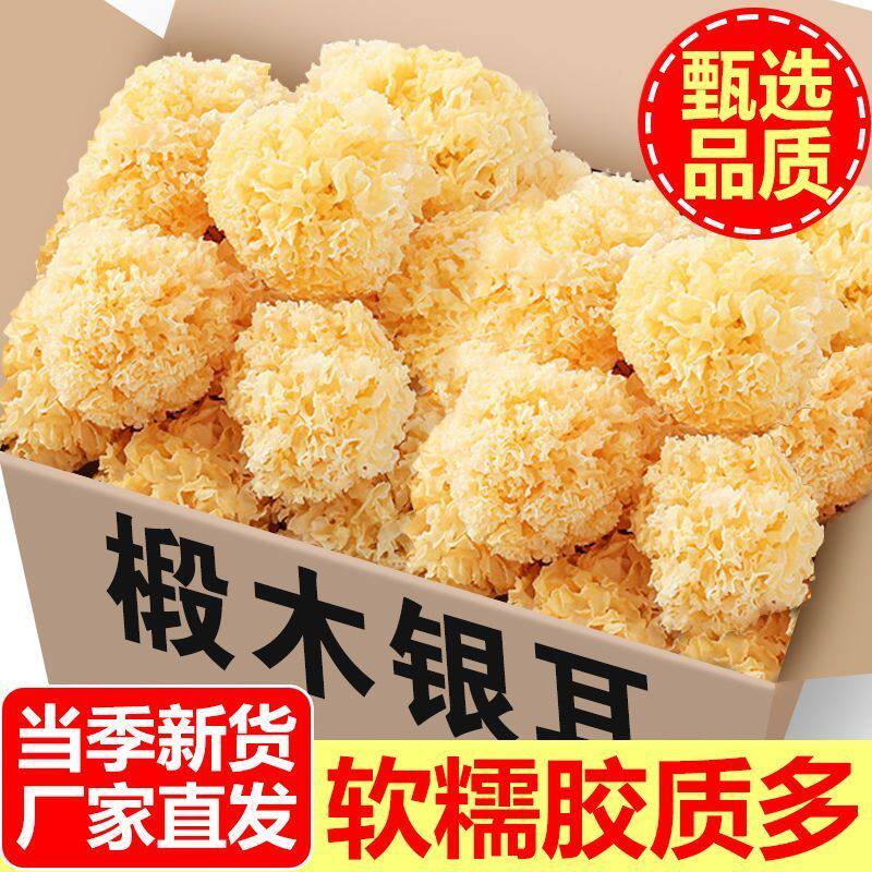 福建古田椴木小银耳干货出胶软糯新鲜无硫雪耳白耳莲子百合银耳羹