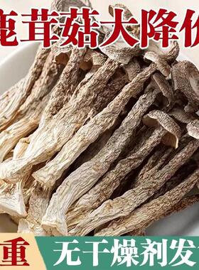 鹿茸菇干货500g包邮特级鹿茸菌无硫新鲜煲汤古田脆脆菇蘑姑干香菇