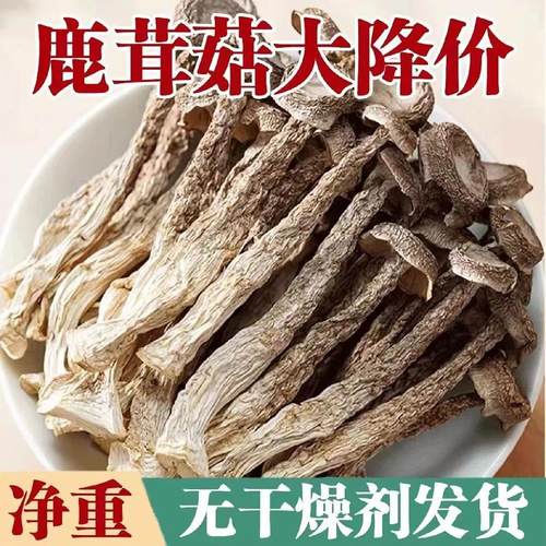 鹿茸菇干货500g包邮特级鹿茸菌无硫新鲜煲汤古田脆脆菇蘑姑干香菇