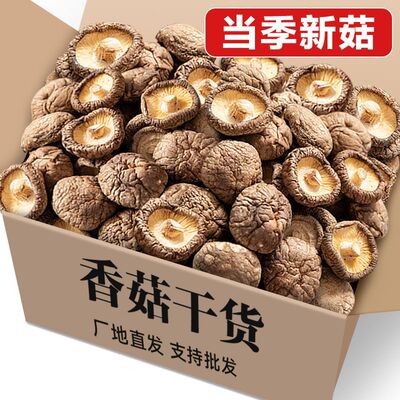 香菇无干燥剂肉厚香菇新货干香菇冬菇干蘑菇精选香菇短根香菇批发