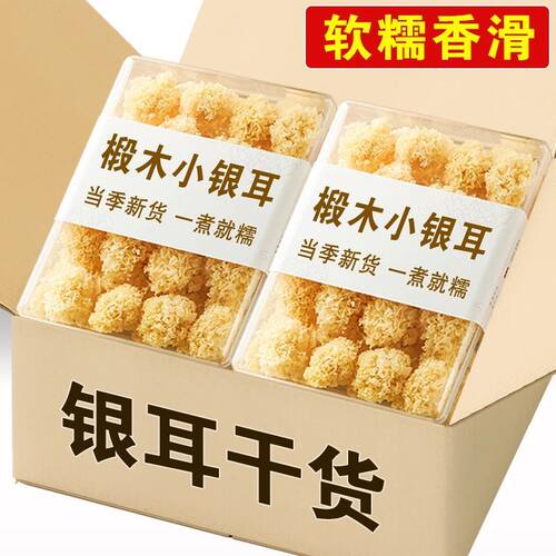 椴木小银耳古田小银耳糯耳出胶浓郁小朵生长银耳新鲜炖汤商用批发