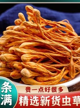 【无干燥剂款】虫草花干货农家新货孢子头虫草花菌菇煲汤原装批发