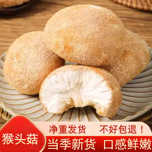 当季新货猴头菇干货净重批发古田农家猴头菌新货煲汤菌菇商用干货,粮油调味/速食/干货/烘焙,猴头菇,淘宝优惠券,粉丝福利购,淘宝优惠卷
