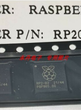 批量可优惠RP2040  RP2040TR13  RP2040-B2 全新原装正