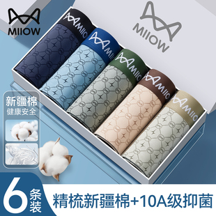 内裤 衩男款 2025新款 抗菌四角平角短裤 青少年男生大码 猫人纯棉男士