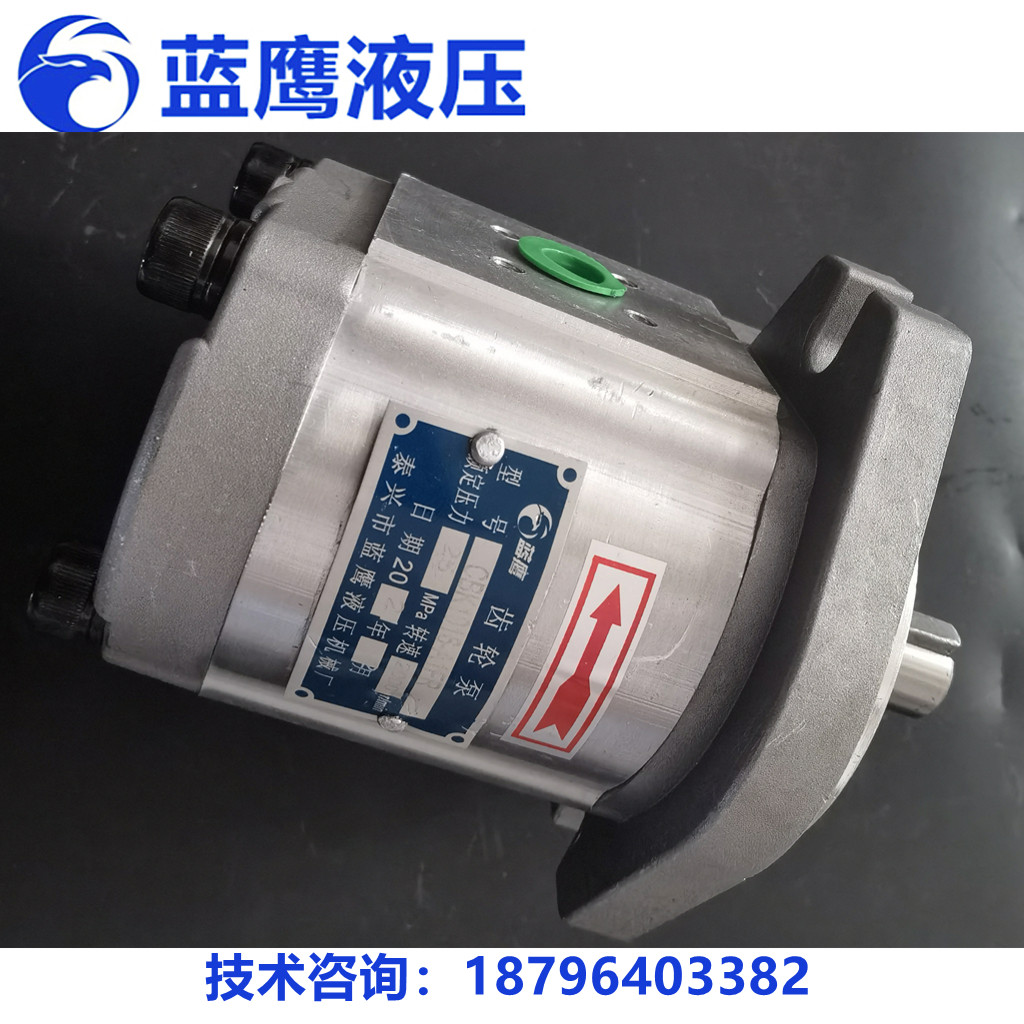 新款CBK100468FRLATR包