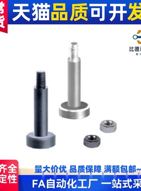 MIJ02-D10  MIJ03-D8 MIJ04-D12 MIJ05 MIJ11 MIJ21带肩铰链销