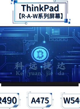 联想ThinkPad R490 原装屏幕 R480/A475/W540/W541/W530 黑侠E570