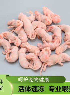 异界 红皮粉皮白霜乳鼠小白鼠速冻爬宠蛇饲料猫粮宠物粮顺丰包邮