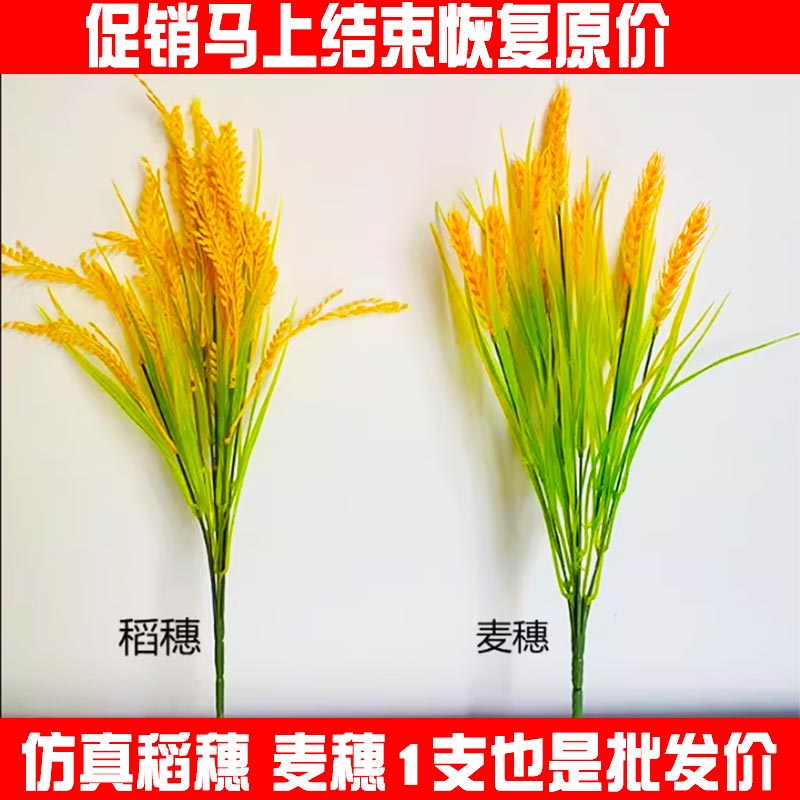 特价水稻恋上花厂家直销