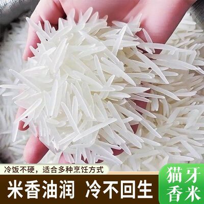 正宗猫牙米长粒香米软糯丝苗米煲仔饭炒饭家庭煮饭大米非真空包装