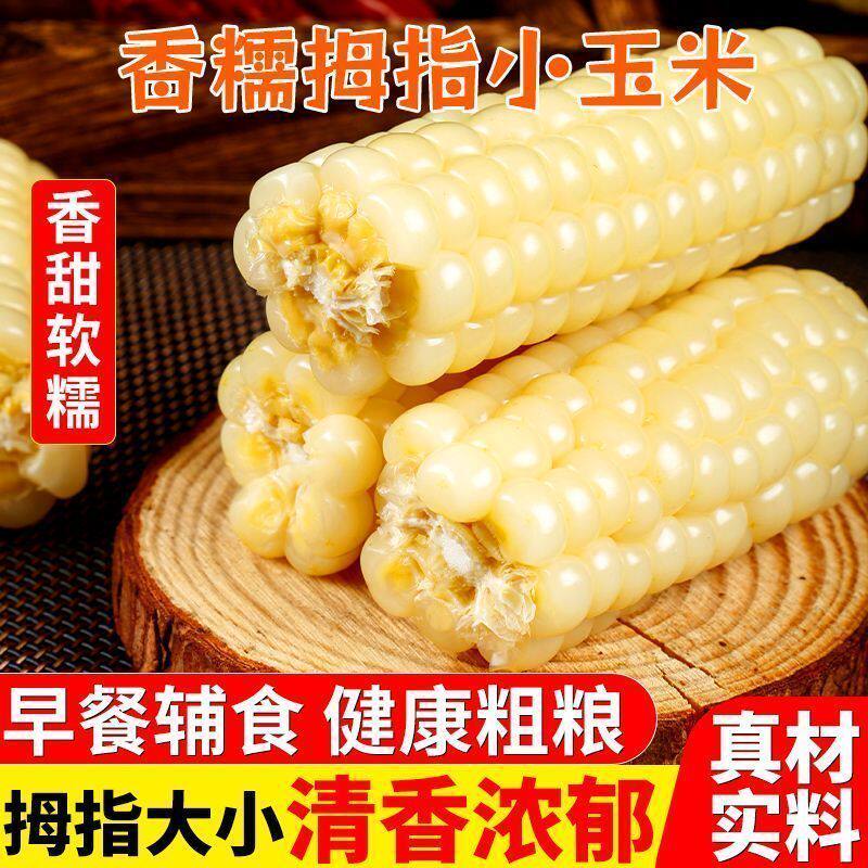 西双版纳拇指玉米儿童早餐杂粗粮