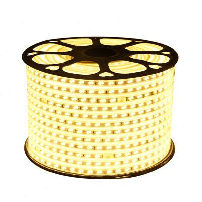 led灯带三色客厅智L能变色装饰吊顶220V卧室长RR条天花防水光带家