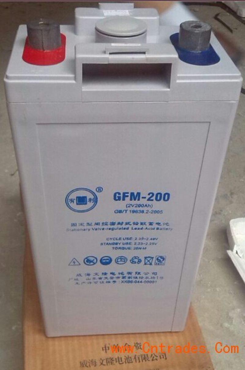 议价有利免维护蓄电池GFM-200 2V-200AH UPS/E