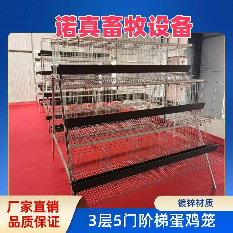 三层五门阶梯式蛋鸡笼A字型蛋鸡笼镀锌材质工厂直发外贸出口