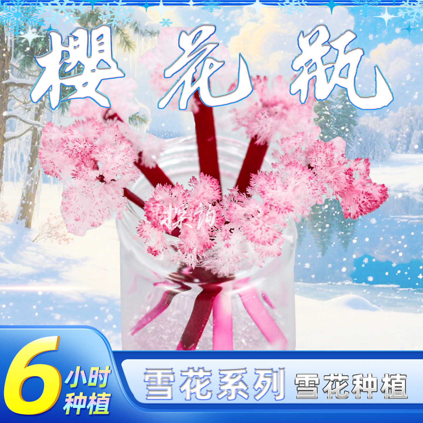 探询物理樱花瓶开花结晶实验整套