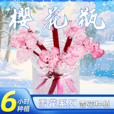 探询物理樱花瓶开花结晶实验整套