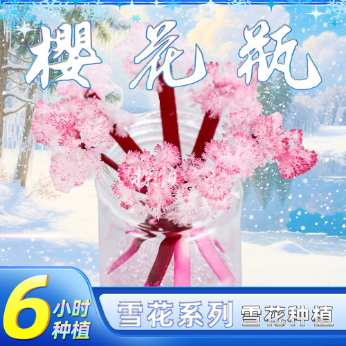探询物理樱花瓶开花结晶实验整套