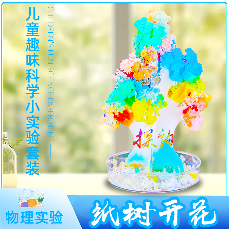 探询雪花种植趣味科学儿童小实验