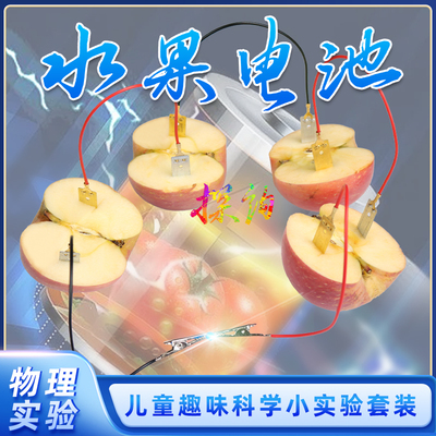 探询经典物理水果电池实验套装