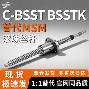 滚珠丝杆C-BSST BSSTK3205 3210 3232-250 800 900 1000-F33-P11