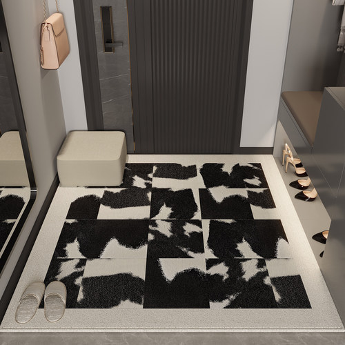 轻奢入户门地垫家用耐脏防滑地毯