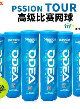 ODEA欧帝尔网球比赛用球专业Passion高弹耐磨耐打气压足成人训练