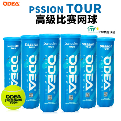 ODEA欧帝尔网球比赛用球专业Passion高弹耐磨耐打气压足成人训练