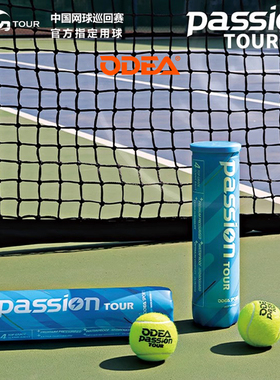ODEA欧帝尔网球Passion有压比赛球耐打高回弹练习训练4粒罐装网球