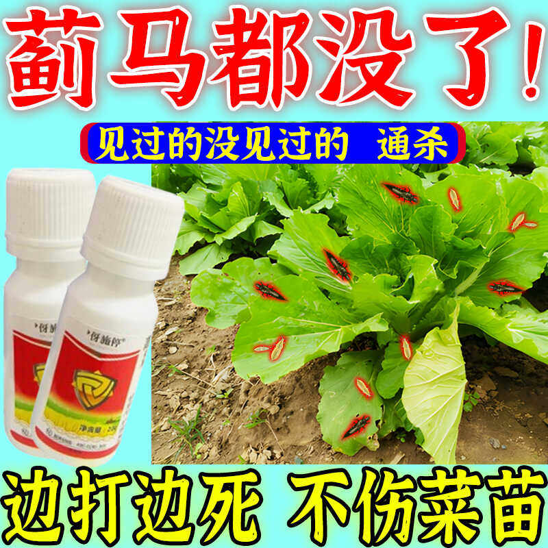 蓟马特效专用药蔬菜花卉果树蓟马杀虫药剂白粉虱食心虫虫卵百虫杀