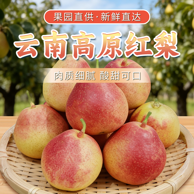 云南高原红梨新鲜直果园直供肉质细腻酸甜可口现摘现发,水产肉类/新鲜蔬果/熟食,梨,淘宝优惠券,粉丝福利购,淘宝优惠卷