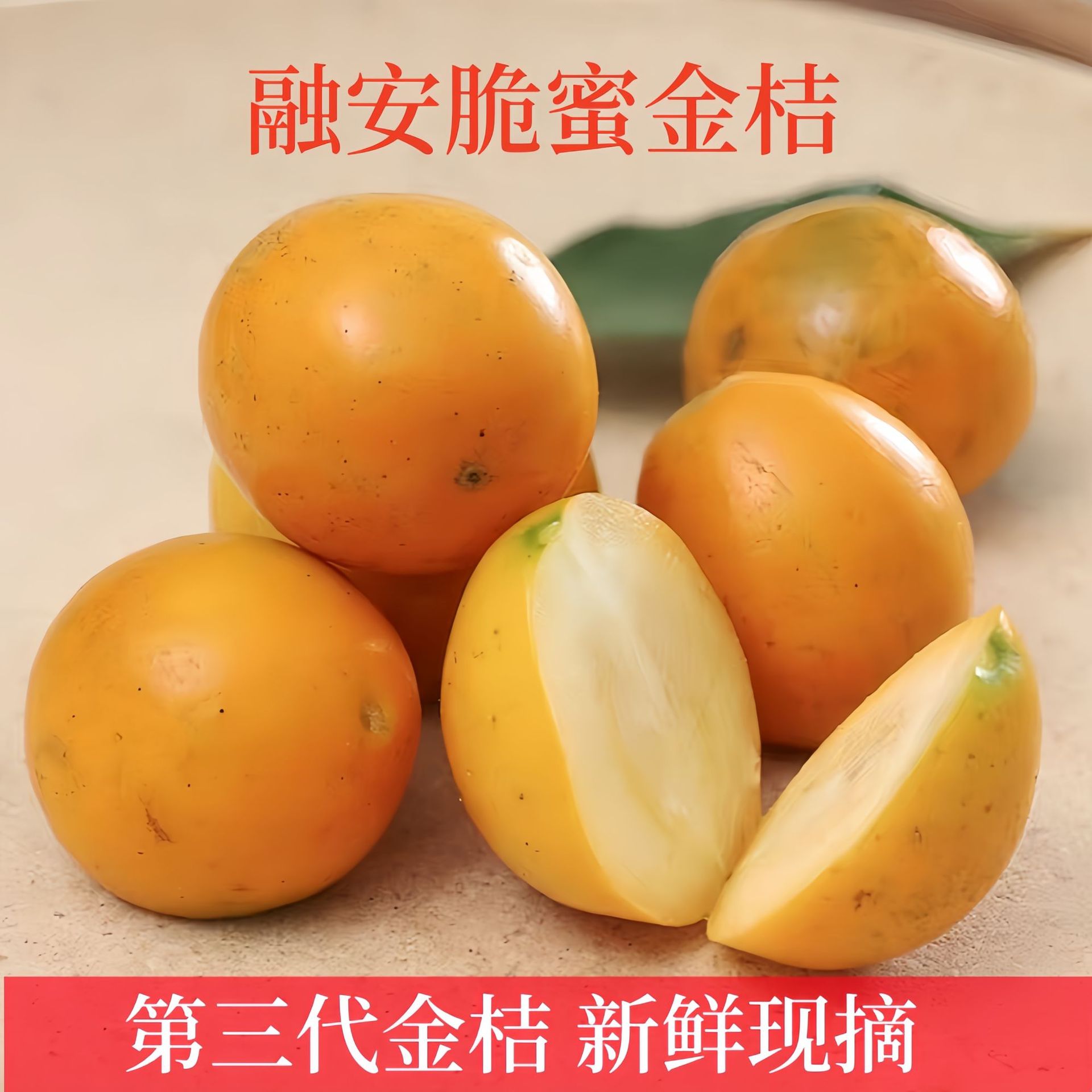 广西融安脆蜜金桔送礼装