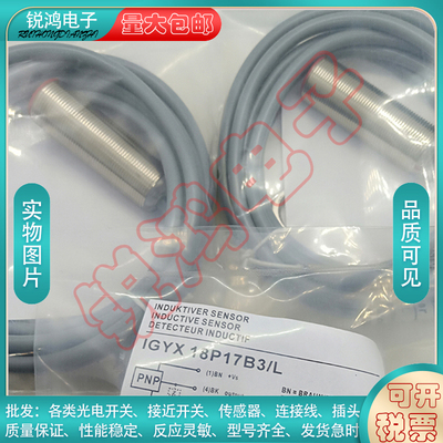 传感器堡盟IGYX18P17B3L