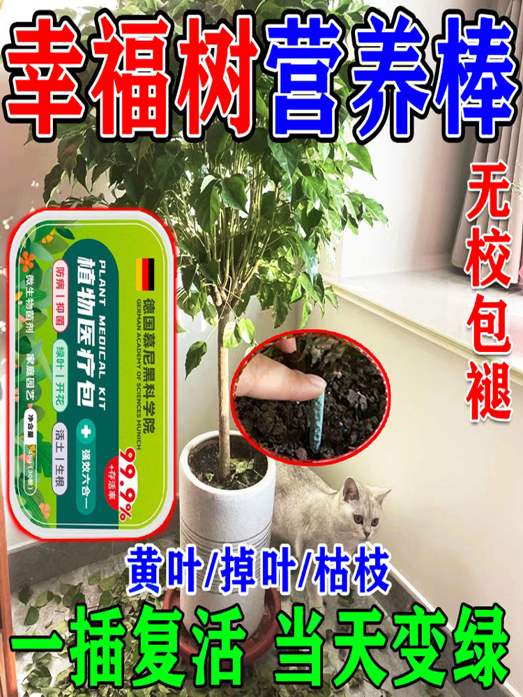 幸福树专用肥料植物急救棒叶子干枯落叶掉叶黄叶干叶营养液缓释肥